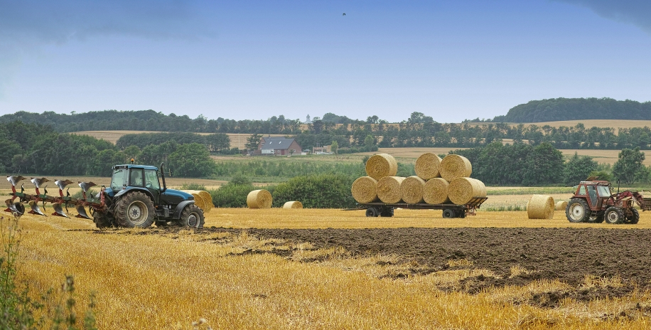 Agriculture in action