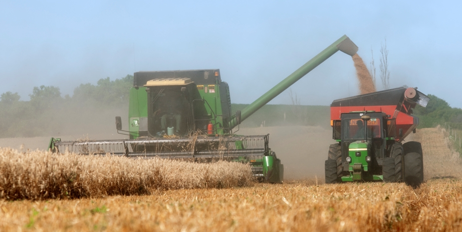 aMS_Wheat Harvest-iStock_Resized