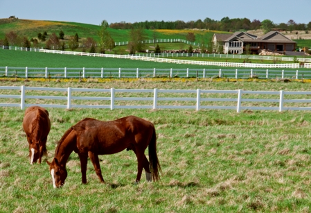 cBS_Equestrian Facility-istock_resized